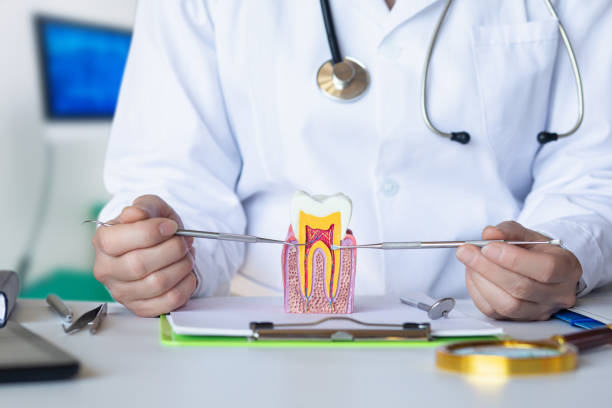Best Emergency Treatment for Dental Infections or Abscesses in West Hammond, NM